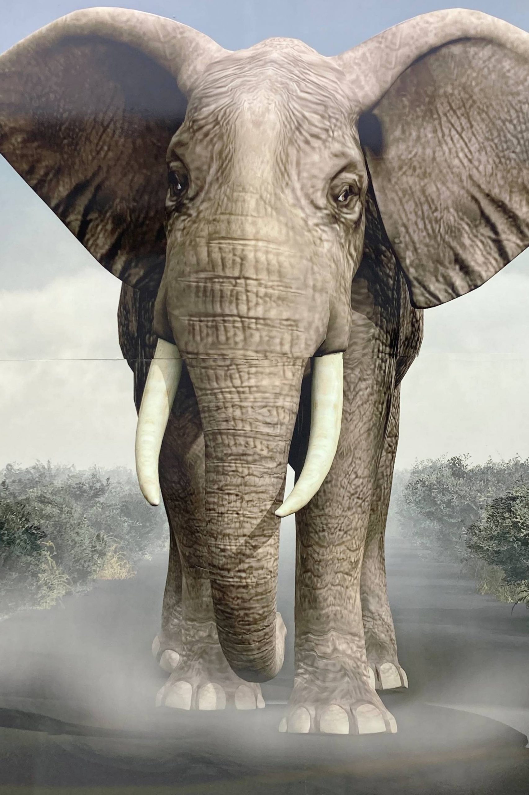 21588 leon 4 73 1580230652