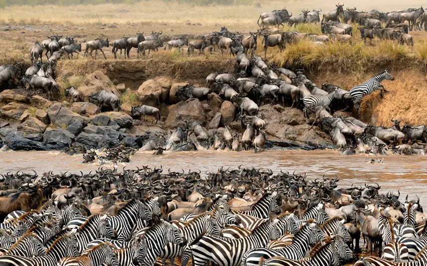 mara river crossings 2